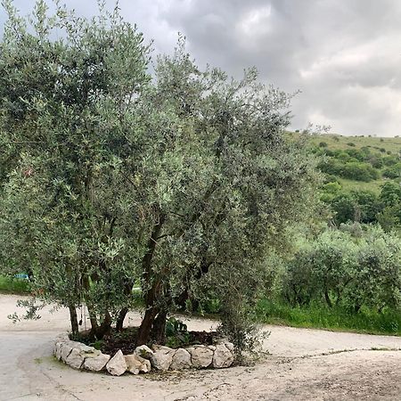 Agriturismo Torre Ercolana Anagni Εξωτερικό φωτογραφία